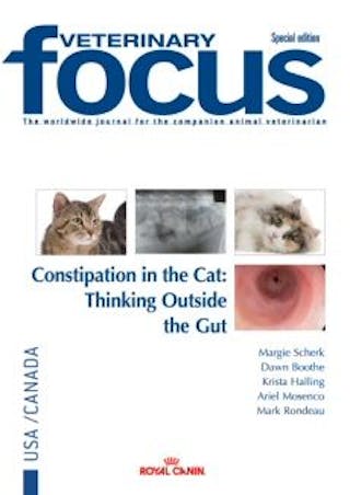 Constipation in the Cat: Thinking Outside the Gut